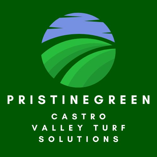 PristineGreen Castro Valley Turf Solutions Logo