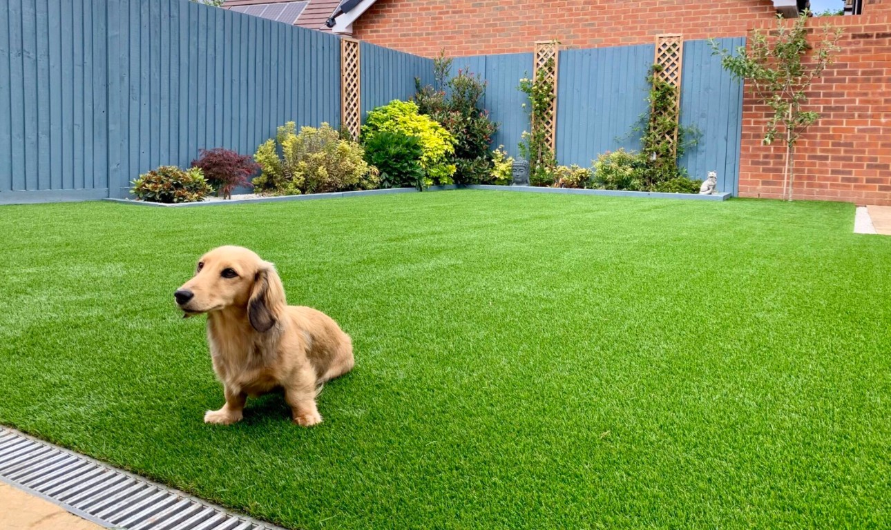 Pet-safe artificial grass with advanced drainage in Castro Valley, CA